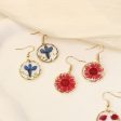 Wholesale 6pcs Resin Dried Flower Irregular Round Gold Earrings Fashion