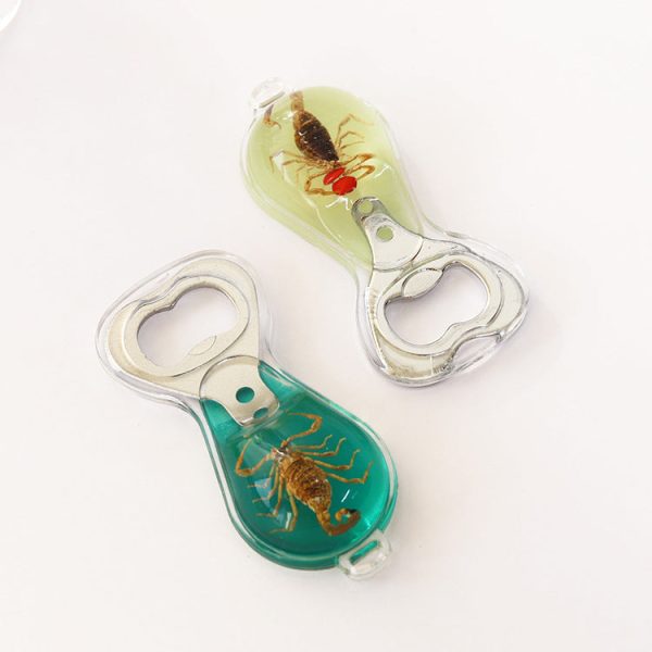 Wholesale 6pcs Real Insect Handmade Glue Bottle Opener Keychain Discount