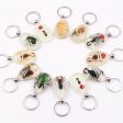 Wholesale 6pcs Real Insect Specimens Large Amber Luminous Keychain Cheap