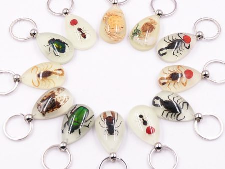 Wholesale 6pcs Real Insect Specimens Large Amber Luminous Keychain Cheap