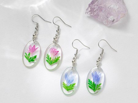 Wholesale 6pcs Purple Small Flower Dried Flower Real Flower Specimen Oval Earrings For Discount