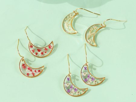 Wholesale 6pcs Natural Dried Flower Moon Shape Drop Glue Earrings Discount