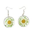 Wholesale 6pcs Resin Dripping Dried Flower Crystal Chrysanthemum Specimen Earrings Fashion