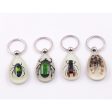 Wholesale 6pcs Luminous Insects Epoxy Resin Keychain For Sale