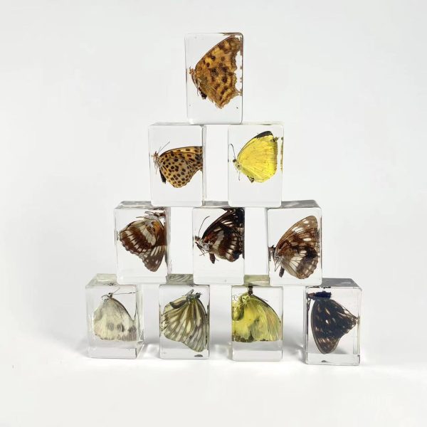 Wholesale 6pcs Handmade Resin Amber Butterfly Specimen Hot on Sale