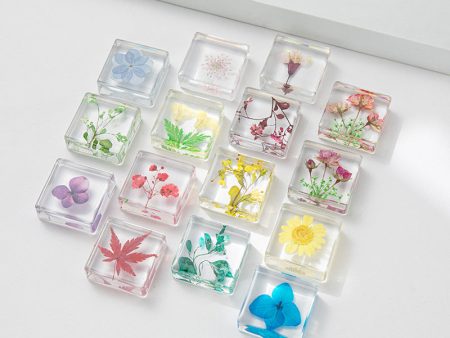 Wholesale 6pcs Resin Dried Flowers Creative Handmade Glue Specimen Ornaments Supply