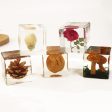 Wholesale 6pcs High Transparent Resin Acrylic Rose Mushroom Dried Fruit Crafts Ornaments For Discount