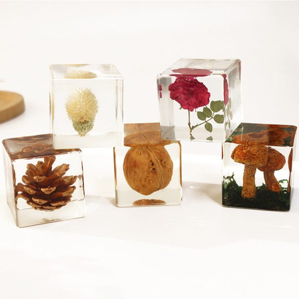 Wholesale 6pcs High Transparent Resin Acrylic Rose Mushroom Dried Fruit Crafts Ornaments For Discount