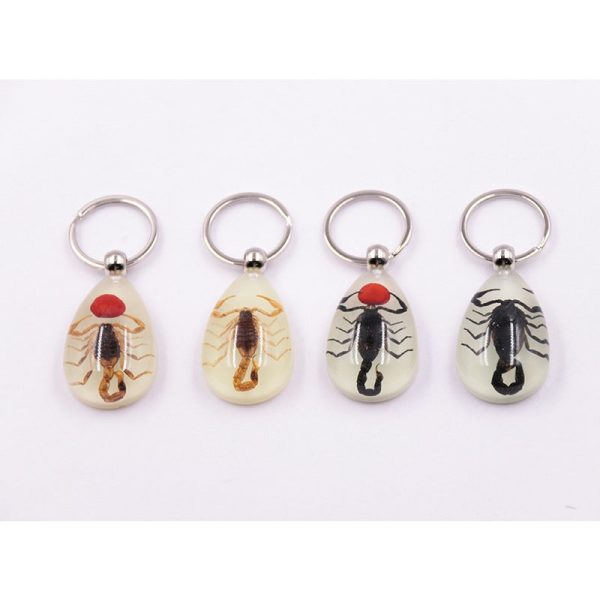 Wholesale 6pcs Luminous Insects Epoxy Resin Keychain For Sale