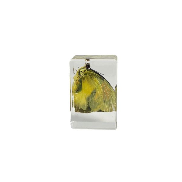 Wholesale 6pcs Handmade Resin Amber Butterfly Specimen Hot on Sale