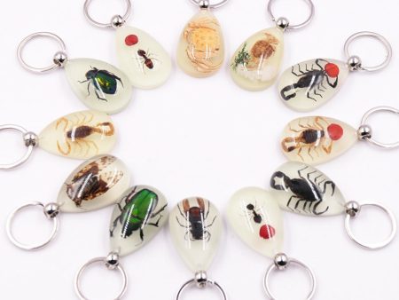 Wholesale 6pcs Luminous Insects Epoxy Resin Keychain For Sale