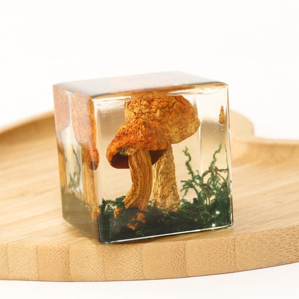 Wholesale 6pcs High Transparent Resin Acrylic Rose Mushroom Dried Fruit Crafts Ornaments For Discount