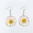 Wholesale 6pcs Resin Dripping Dried Flower Crystal Chrysanthemum Specimen Earrings Fashion