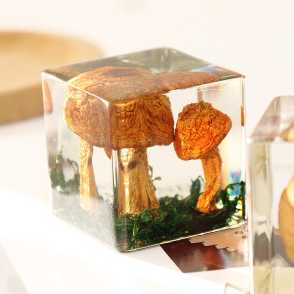 Wholesale 6pcs High Transparent Resin Acrylic Rose Mushroom Dried Fruit Crafts Ornaments For Discount