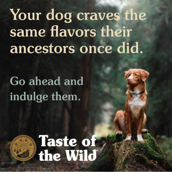 BUNDLE DEAL FREE TREAT : Taste of the Wild Pine Forest with Venison Grain-Free Dry Dog Food For Sale