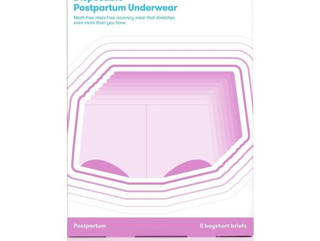 Disposable Postpartum Underwear Pack of 8 Supply